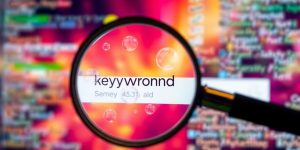 Magnifying glass over search bar, many diverse keywords.